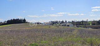  Terrain � vendre 250 m�