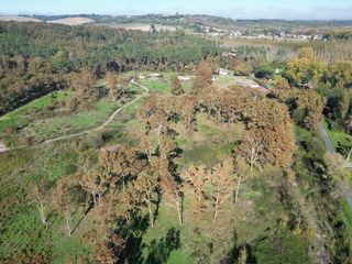  Terrain � vendre 31811 m�