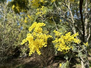  Terrain � vendre 975 m�