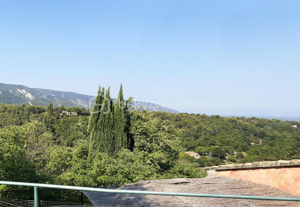 � vendre  Propri�t�/ch�teau M�nerbes (84560)