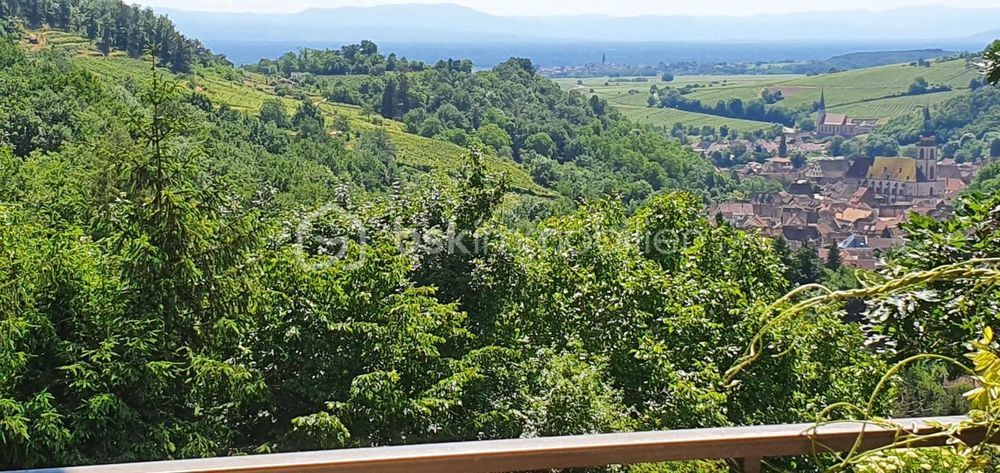 � vendre  Propri�t�/ch�teau Andlau (67140)