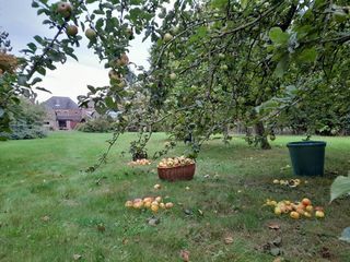  Maison � vendre 6 pi�ces 330 m�