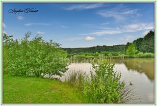  Terrain � vendre 31710 m�