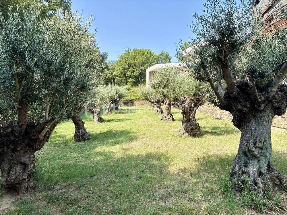 � vendre  Villa Saint-Jean-Pla-de-Corts (66490)