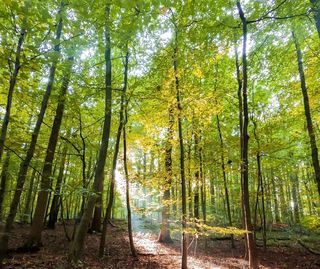  Terrain � vendre 2525 m�