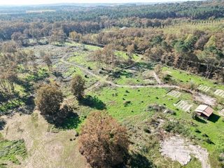  Terrain � vendre 31811 m�