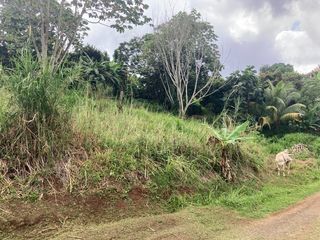  Terrain � vendre 1424 m�