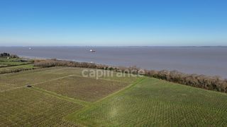  Propri�t�/ch�teau � vendre 12 pi�ces 1357 m�