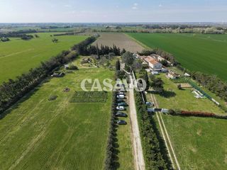  Propri�t�/ch�teau � vendre 14 pi�ces 355 m�