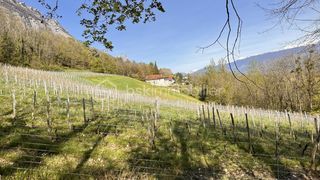  Maison � vendre 12 pi�ces 473 m�