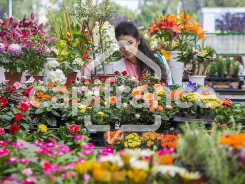 Fonds de commerce &agrave; vendre proche de TOULOUSE (31) - Cession d'une boutique de fleurs avec une activit&eacute;  d'espace vert. EBE: 70 132000 31000 Toulouse