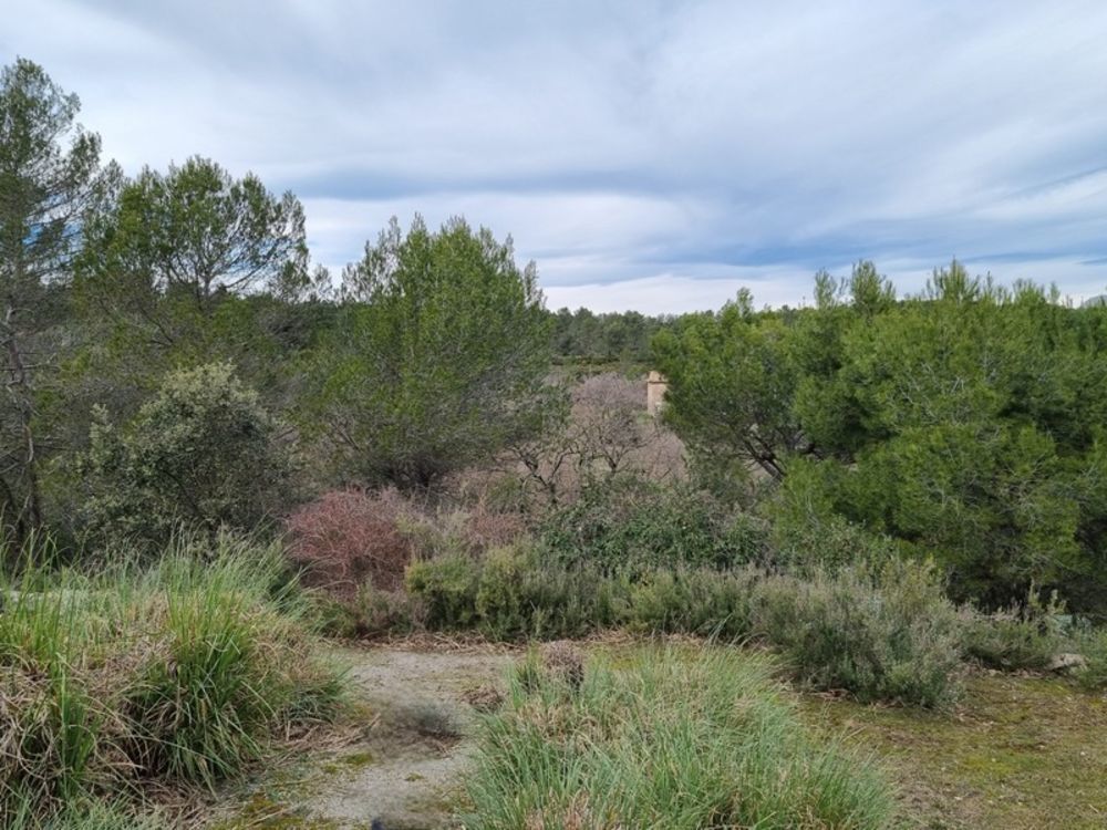 � vendre  Maison Fuveau (13710)