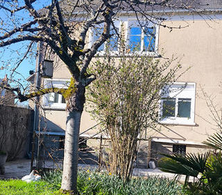  Maison � vendre 7 pi�ces 146 m�