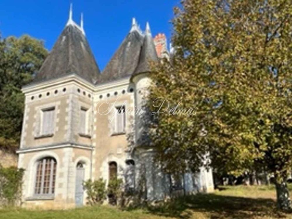 � vendre  Propri�t�/ch�teau Amboise (37400)