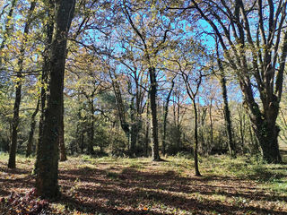  Terrain � vendre 6660 m�