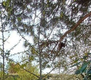  Terrain � vendre 460 m�