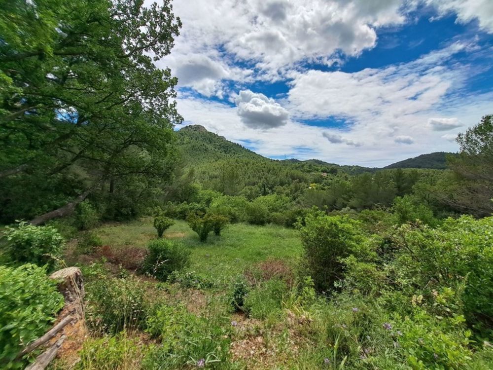 � vendre  Maison Auriol (13390)