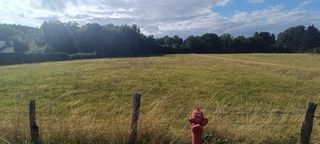  Terrain � vendre 6704 m�