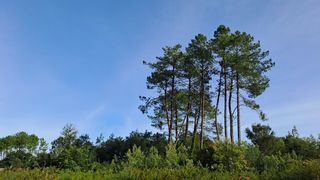  Terrain � vendre 1111 m�