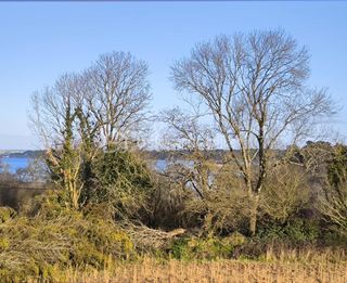  Appartement � vendre 2 pi�ces 40 m�