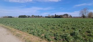  Terrain � vendre 9068 m�