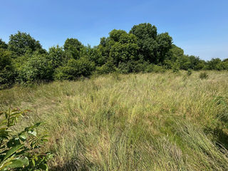  Terrain � vendre 909 m�