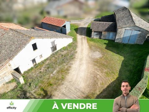   Maison Maison - 9 pi�ce(s) - 245 m�