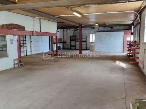   Garage 210m� avec loft 145m� et terrasse sans aucun vis � vis � Ille Sur T�t (66) Loft - 8 pi�ce(s) - 147 m�