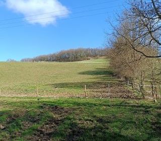  Terrain � vendre 66308 m�