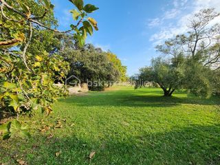  Propri�t�/ch�teau � vendre 13 pi�ces 400 m�