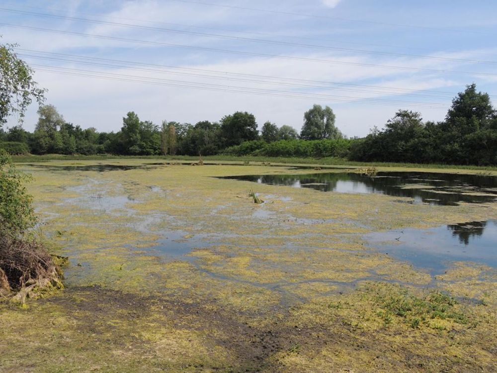 � vendre  Propri�t�/ch�teau Myennes (58440)