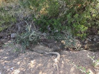  Terrain � vendre 2420 m�