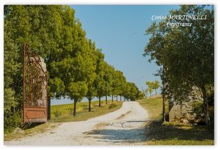  Propri�t�/ch�teau � vendre 15 + pi�ces 885 m�