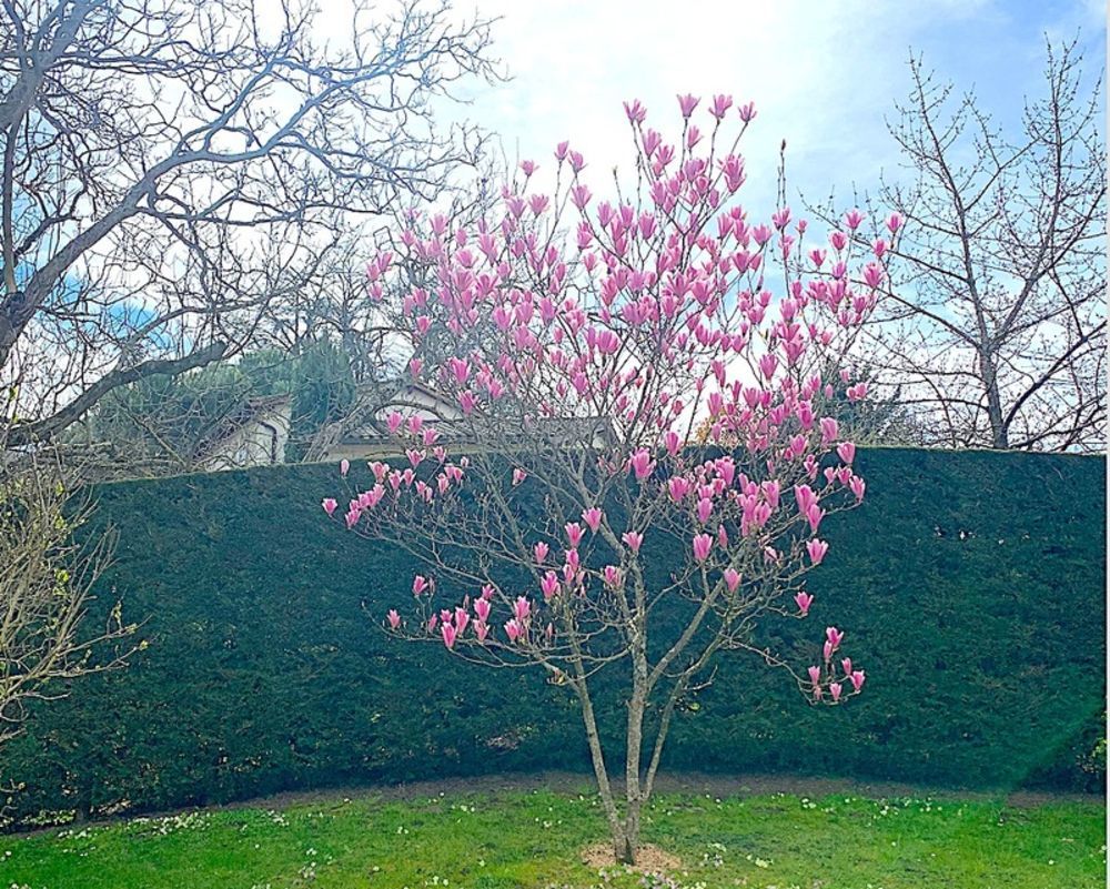 � vendre  Maison Chasselay (69380)