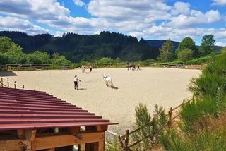  Propri�t�/ch�teau � vendre 5 pi�ces 180 m�