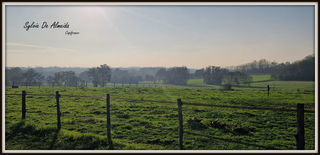  Maison � vendre 6 pi�ces 206 m�