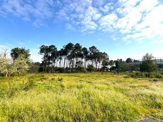  Maison � vendre 10 pi�ces 800 m�