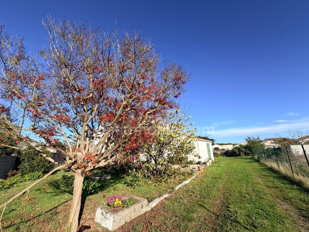 � vendre  Maison Le Bois-Plage-en-R� (17580)