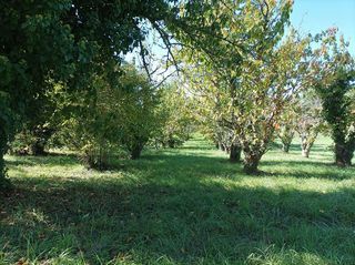  Terrain � vendre 1628 m�