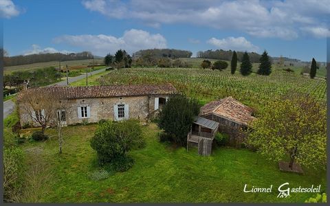   Maison � vendre 6 pi�ces et d�pendances sur la commune SAINT QUENTIN DE CAPLONG (33) proche de Sainte Foy la Grande Maison - 6 pi�ce(s) - 169 m�
