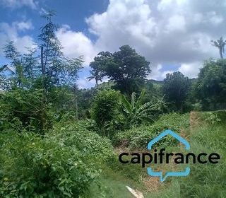  Terrain � vendre 73480 m�