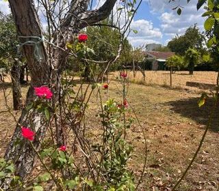  Terrain � vendre 830 m�