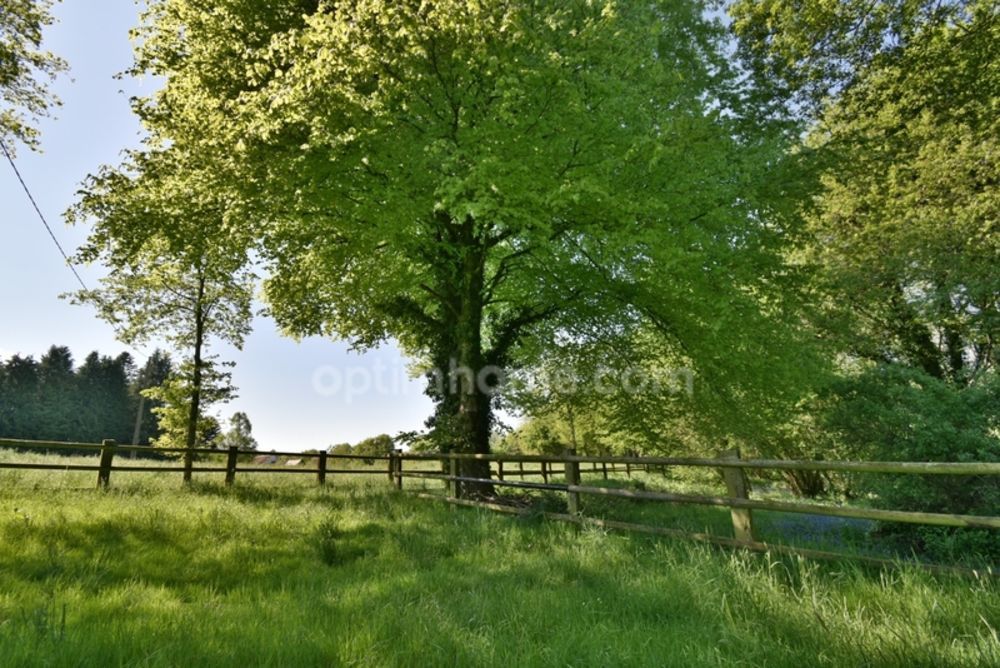 � vendre  Maison Moustoir-Ac (56500)