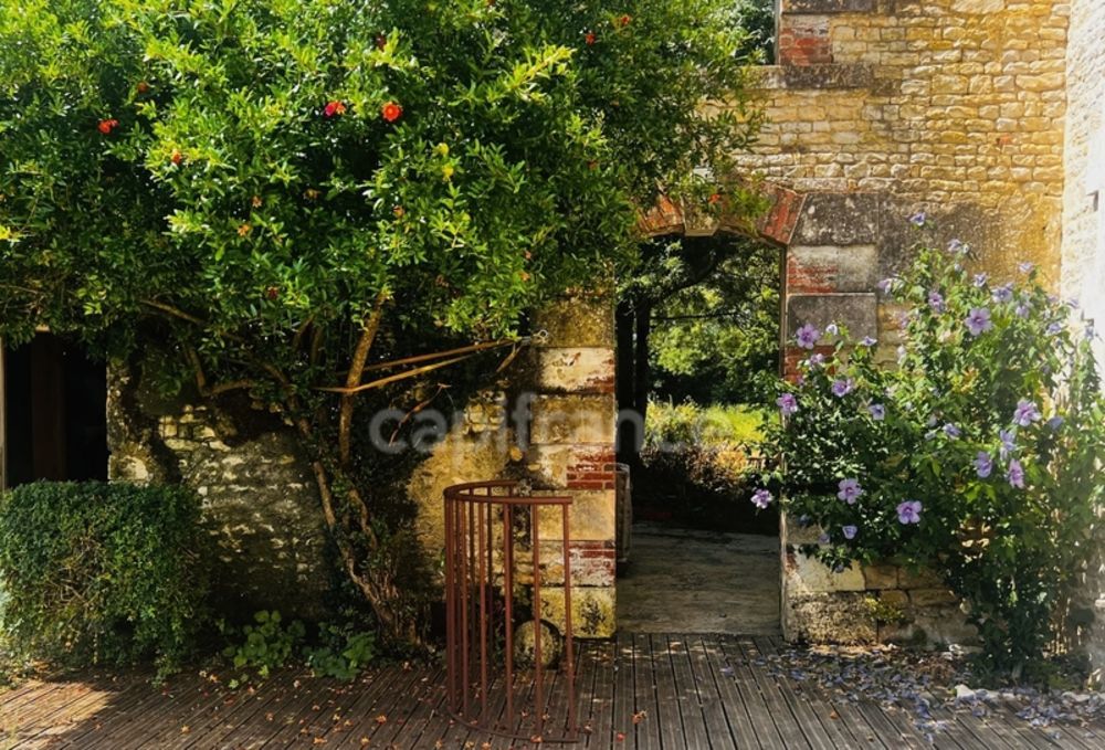 � vendre  Propri�t�/ch�teau Anais (17540)