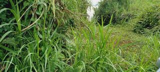  Terrain � vendre 5303 m�