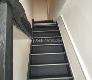  Duplex/triplex � vendre 2 pi�ces 37 m�