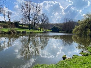  Propri�t�/ch�teau � vendre 7 pi�ces 175 m�