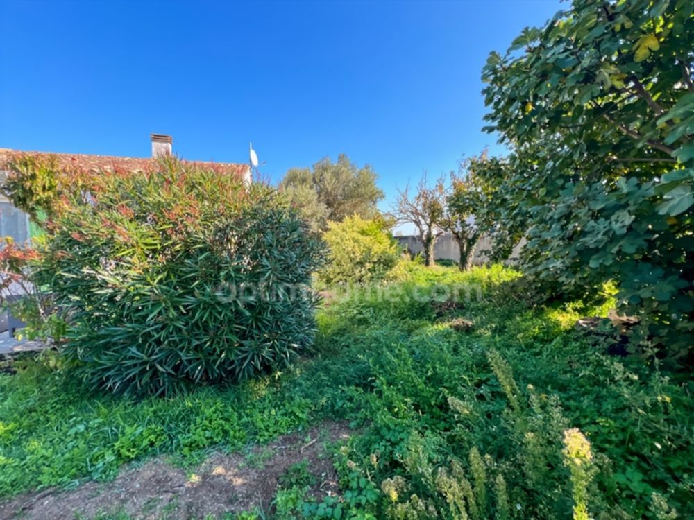 � vendre  Maison Ars-en-R� (17590)