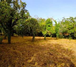  Terrain � vendre 834 m�