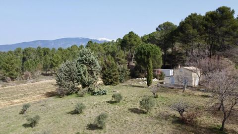   Cabanon � r�nover sur 1,5 hectare de nature � Mormoiron Maison - 3 pi�ce(s) - 50 m�